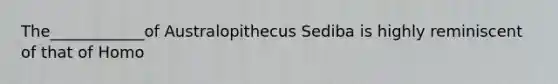 The____________of Australopithecus Sediba is highly reminiscent of that of Homo