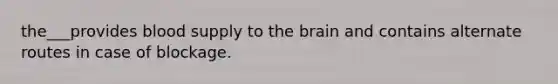 the___provides blood supply to the brain and contains alternate routes in case of blockage.