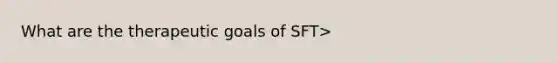 What are the therapeutic goals of SFT>