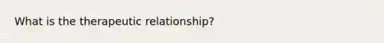 What is the therapeutic relationship?