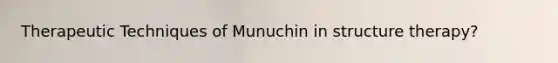 Therapeutic Techniques of Munuchin in structure therapy?