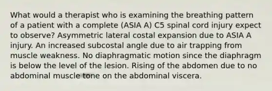 What would a therapist who is examining the breathing pattern of a patient with a complete (ASIA A) C5 spinal cord injury expect to observe? Asymmetric lateral costal expansion due to ASIA A injury. An increased subcostal angle due to air trapping from muscle weakness. No diaphragmatic motion since the diaphragm is below the level of the lesion. Rising of the abdomen due to no abdominal muscle tone on the abdominal viscera.