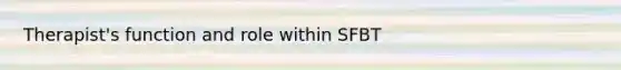 Therapist's function and role within SFBT