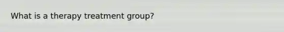 What is a therapy treatment group?