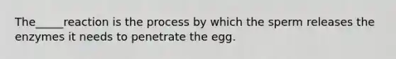 The_____reaction is the process by which the sperm releases the enzymes it needs to penetrate the egg.