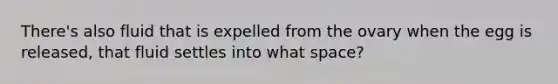 There's also fluid that is expelled from the ovary when the egg is released, that fluid settles into what space?