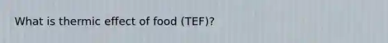 What is thermic effect of food (TEF)?