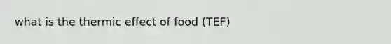 what is the thermic effect of food (TEF)