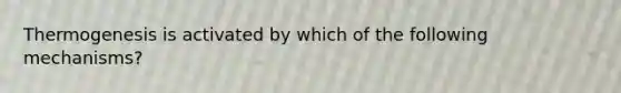 Thermogenesis is activated by which of the following mechanisms?