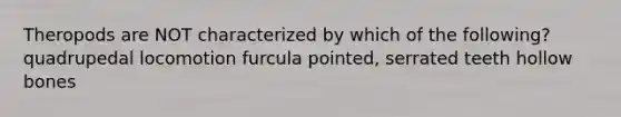 Theropods are NOT characterized by which of the following? quadrupedal locomotion furcula pointed, serrated teeth hollow bones