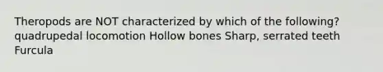 Theropods are NOT characterized by which of the following? quadrupedal locomotion Hollow bones Sharp, serrated teeth Furcula