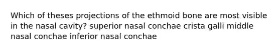 Which of theses projections of the ethmoid bone are most visible in the nasal cavity? superior nasal conchae crista galli middle nasal conchae inferior nasal conchae