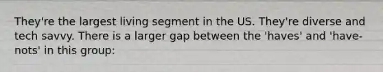 They're the largest living segment in the US. They're diverse and tech savvy. There is a larger gap between the 'haves' and 'have-nots' in this group: