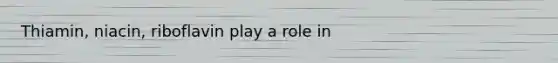 Thiamin, niacin, riboflavin play a role in