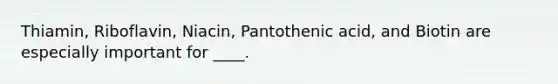 Thiamin, Riboflavin, Niacin, Pantothenic acid, and Biotin are especially important for ____.
