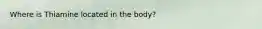 Where is Thiamine located in the body?