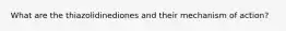What are the thiazolidinediones and their mechanism of action?