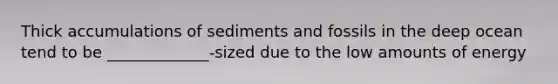 Thick accumulations of sediments and fossils in the deep ocean tend to be _____________-sized due to the low amounts of energy