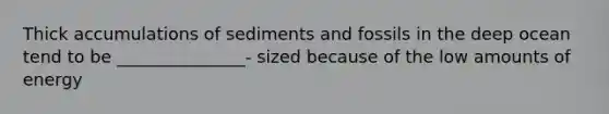 Thick accumulations of sediments and fossils in the deep ocean tend to be _______________- sized because of the low amounts of energy