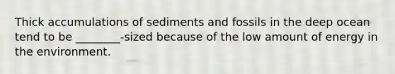 Thick accumulations of sediments and fossils in the deep ocean tend to be ________-sized because of the low amount of energy in the environment.