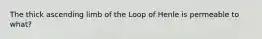 The thick ascending limb of the Loop of Henle is permeable to what?