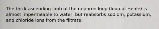 The thick ascending limb of the nephron loop (loop of Henle) is almost impermeable to water, but reabsorbs sodium, potassium, and chloride ions from the filtrate.