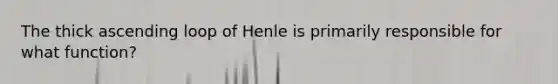 The thick ascending loop of Henle is primarily responsible for what function?