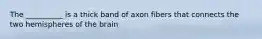 The __________ is a thick band of axon fibers that connects the two hemispheres of the brain