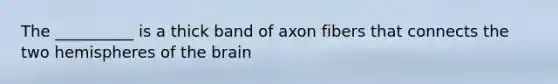 The __________ is a thick band of axon fibers that connects the two hemispheres of the brain