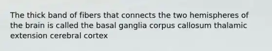 The thick band of fibers that connects the two hemispheres of the brain is called the basal ganglia corpus callosum thalamic extension cerebral cortex