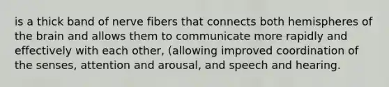 is a thick band of nerve fibers that connects both hemispheres of the brain and allows them to communicate more rapidly and effectively with each other, (allowing improved coordination of the senses, attention and arousal, and speech and hearing.