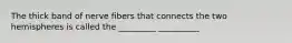 The thick band of nerve fibers that connects the two hemispheres is called the _________ __________