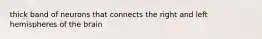 thick band of neurons that connects the right and left hemispheres of the brain