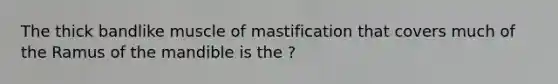 The thick bandlike muscle of mastification that covers much of the Ramus of the mandible is the ?