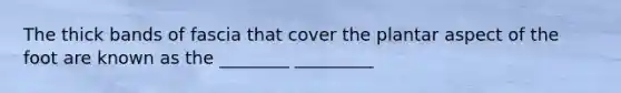 The thick bands of fascia that cover the plantar aspect of the foot are known as the ________ _________