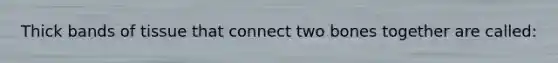 Thick bands of tissue that connect two bones together are called: