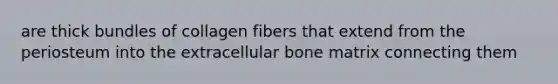 are thick bundles of collagen fibers that extend from the periosteum into the extracellular bone matrix connecting them