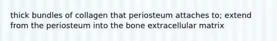 thick bundles of collagen that periosteum attaches to; extend from the periosteum into the bone extracellular matrix