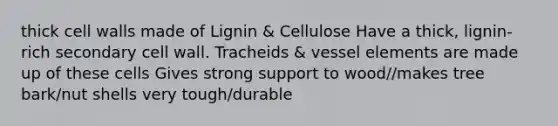 thick cell walls made of Lignin & Cellulose Have a thick, lignin-rich secondary cell wall. Tracheids & vessel elements are made up of these cells Gives strong support to wood//makes tree bark/nut shells very tough/durable