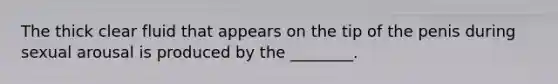 The thick clear fluid that appears on the tip of the penis during sexual arousal is produced by the ________.