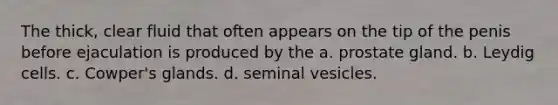 The thick, clear fluid that often appears on the tip of the penis before ejaculation is produced by the a. prostate gland. b. Leydig cells. c. Cowper's glands. d. seminal vesicles.