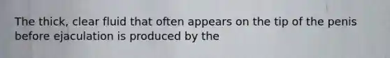 The thick, clear fluid that often appears on the tip of the penis before ejaculation is produced by the