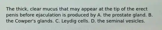 The thick, clear mucus that may appear at the tip of the erect penis before ejaculation is produced by A. the prostate gland. B. the Cowper's glands. C. Leydig cells. D. the seminal vesicles.