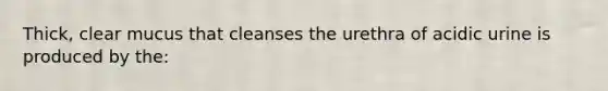 Thick, clear mucus that cleanses the urethra of acidic urine is produced by the: