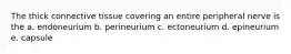 The thick connective tissue covering an entire peripheral nerve is the a. endoneurium b. perineurium c. ectoneurium d. epineurium e. capsule