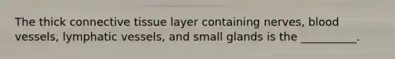 The thick <a href='https://www.questionai.com/knowledge/kYDr0DHyc8-connective-tissue' class='anchor-knowledge'>connective tissue</a> layer containing nerves, <a href='https://www.questionai.com/knowledge/kZJ3mNKN7P-blood-vessels' class='anchor-knowledge'>blood vessels</a>, <a href='https://www.questionai.com/knowledge/ki6sUebkzn-lymphatic-vessels' class='anchor-knowledge'>lymphatic vessels</a>, and small glands is the __________.