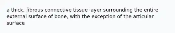 a thick, fibrous connective tissue layer surrounding the entire external surface of bone, with the exception of the articular surface