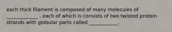 each thick filament is composed of many molecules of _____________ , each of which is consists of two twisted protein strands with globular parts called ____________.