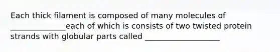 Each thick filament is composed of many molecules of ______________each of which is consists of two twisted protein strands with globular parts called ___________________