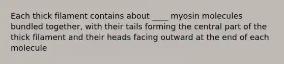 Each thick filament contains about ____ myosin molecules bundled together, with their tails forming the central part of the thick filament and their heads facing outward at the end of each molecule